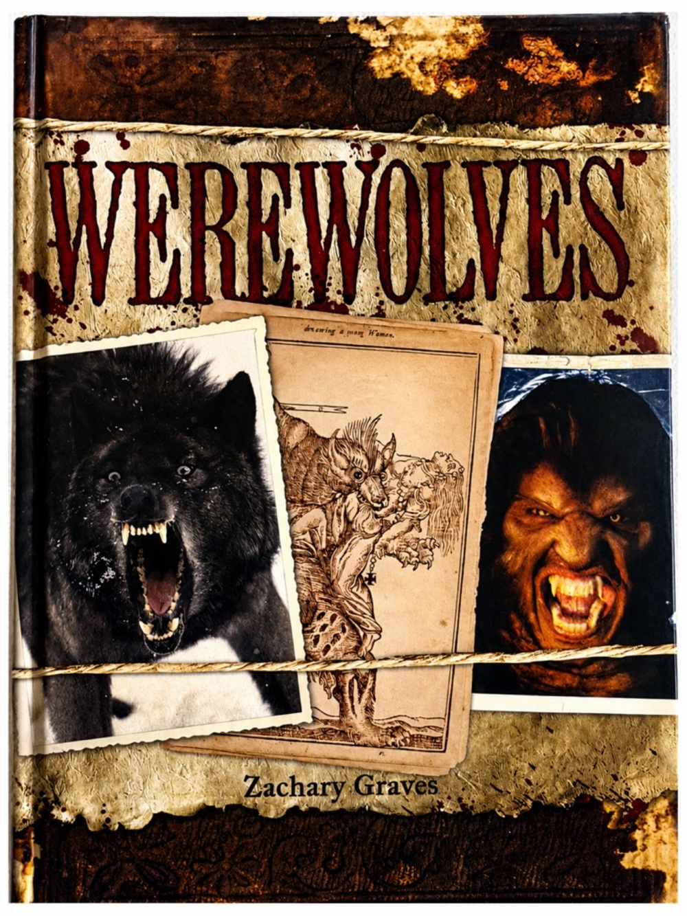 Werewolves Zachary Graves Hardcover Chartwell Books Illustrated Horror Folklore